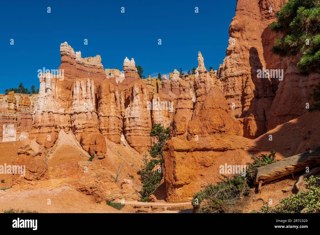 Hiking through the Bryce Canyon Ampitheater reveals many HooDoo's and other beautiful sites Stock Photo