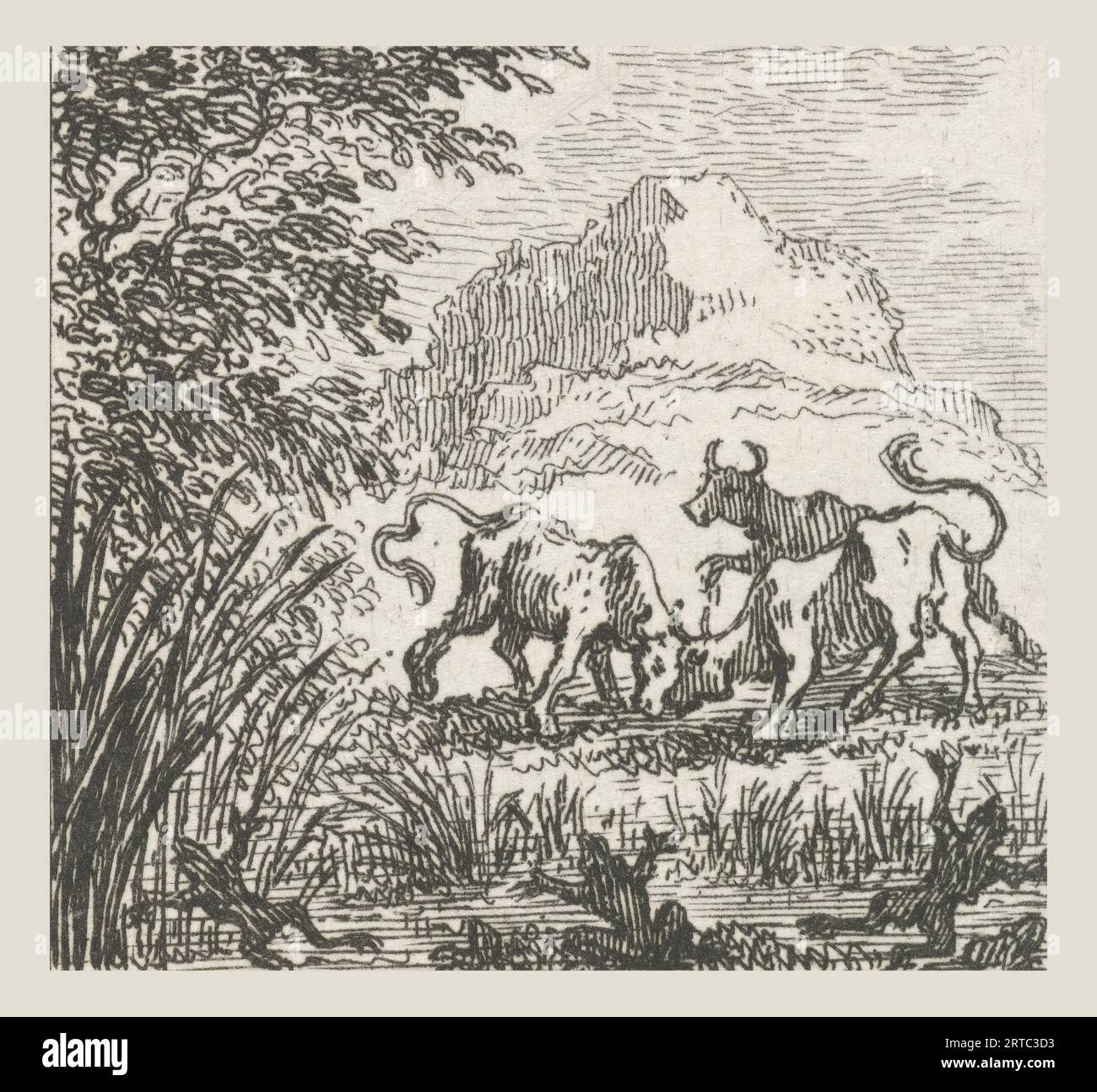 Fable of the bulls in battle Illustrations for fable stories of Phaedrus (series title), Three bulls are fighting in a meadow. This illustration was made for the Aesopian fables of the Latin poet Phaedrus, Fables. Simon Fokke (1712-1784) was a Dutch designer, etcher, and engraver. Born in Amsterdam, The Netherlands. Discover the enchanting world of Phaedrus' fables, where timeless wisdom meets captivating storytelling. In 'The Fables of Phaedrus,' you'll embark on a journey through the vivid landscapes of ancient Rome, where clever animals and cunning characters engage in delightful adventures Stock Photo