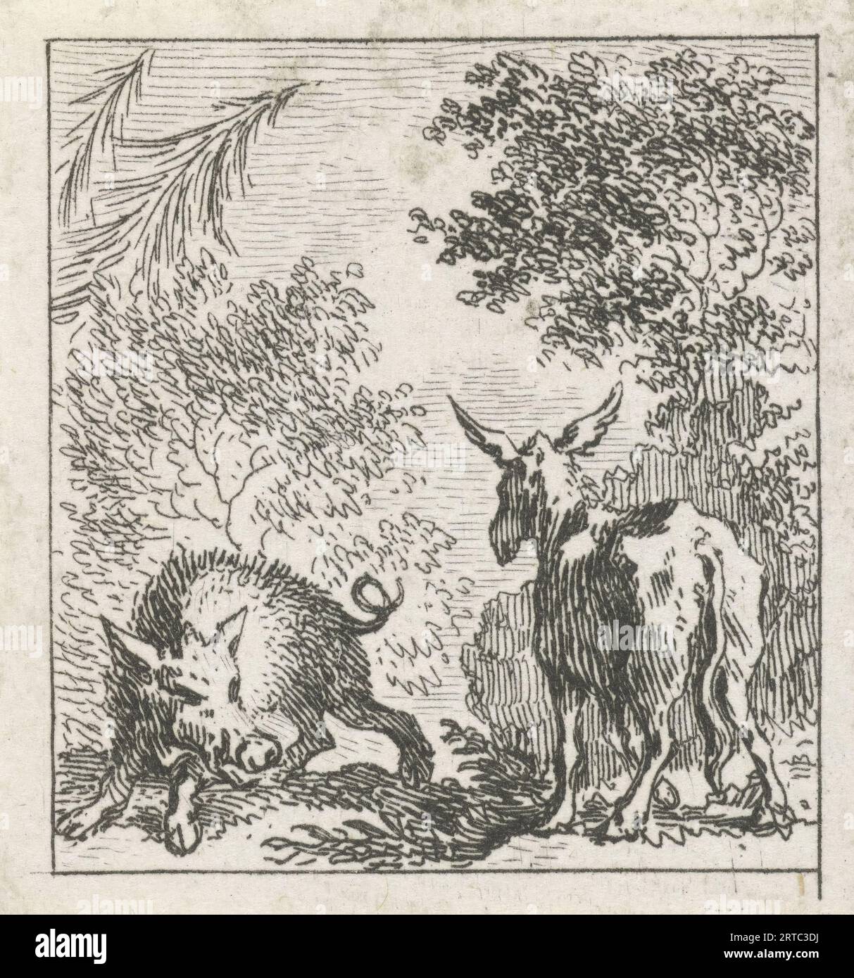 Fable of the donkey and the wild boar Illustrations for fable stories from Phaedrus (series title), A donkey and a wild boar are standing opposite each other in a forest. This illustration was made for the Aesopian fables of the Latin poet Phaedrus, Fables. Simon Fokke (1712-1784) was a Dutch designer, etcher, and engraver. Born in Amsterdam, The Netherlands. Discover the enchanting world of Phaedrus' fables, where timeless wisdom meets captivating storytelling. In 'The Fables of Phaedrus,' you'll embark on a journey through the vivid landscapes of ancient Rome Stock Photo