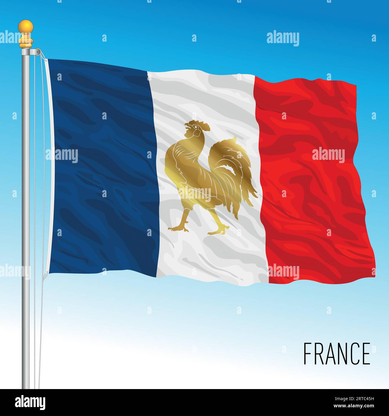 France waving flag with historical french symbol, vector illustration(08)