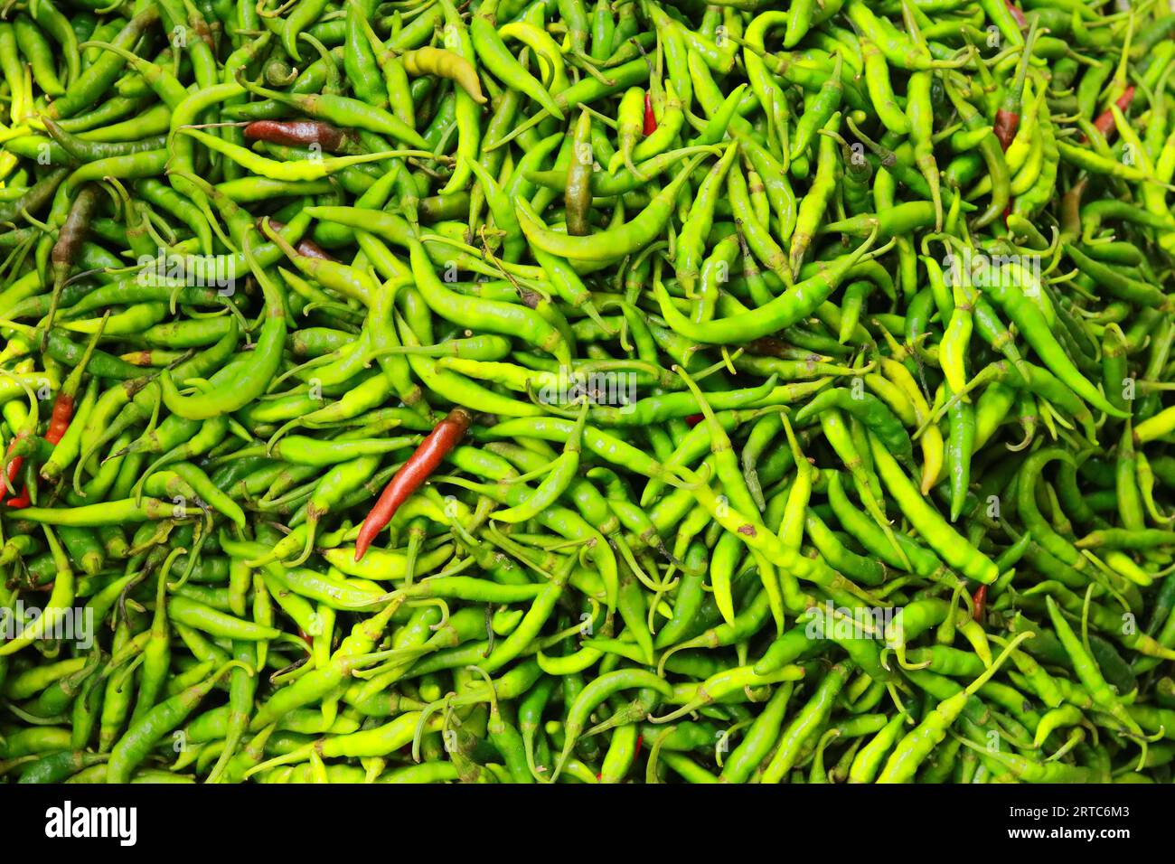 Lots of green chilies hi-res stock photography and images - Alamy