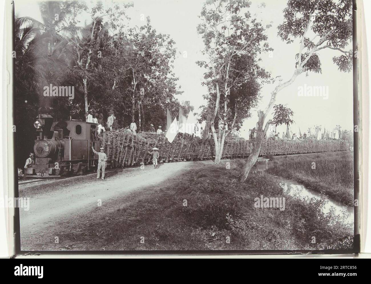 Train Trasporting Sugar Cane, 900, Bali, Java, Indonesia - Dutch East Indies - Dutch European Colonialism indonesia Stock Photo