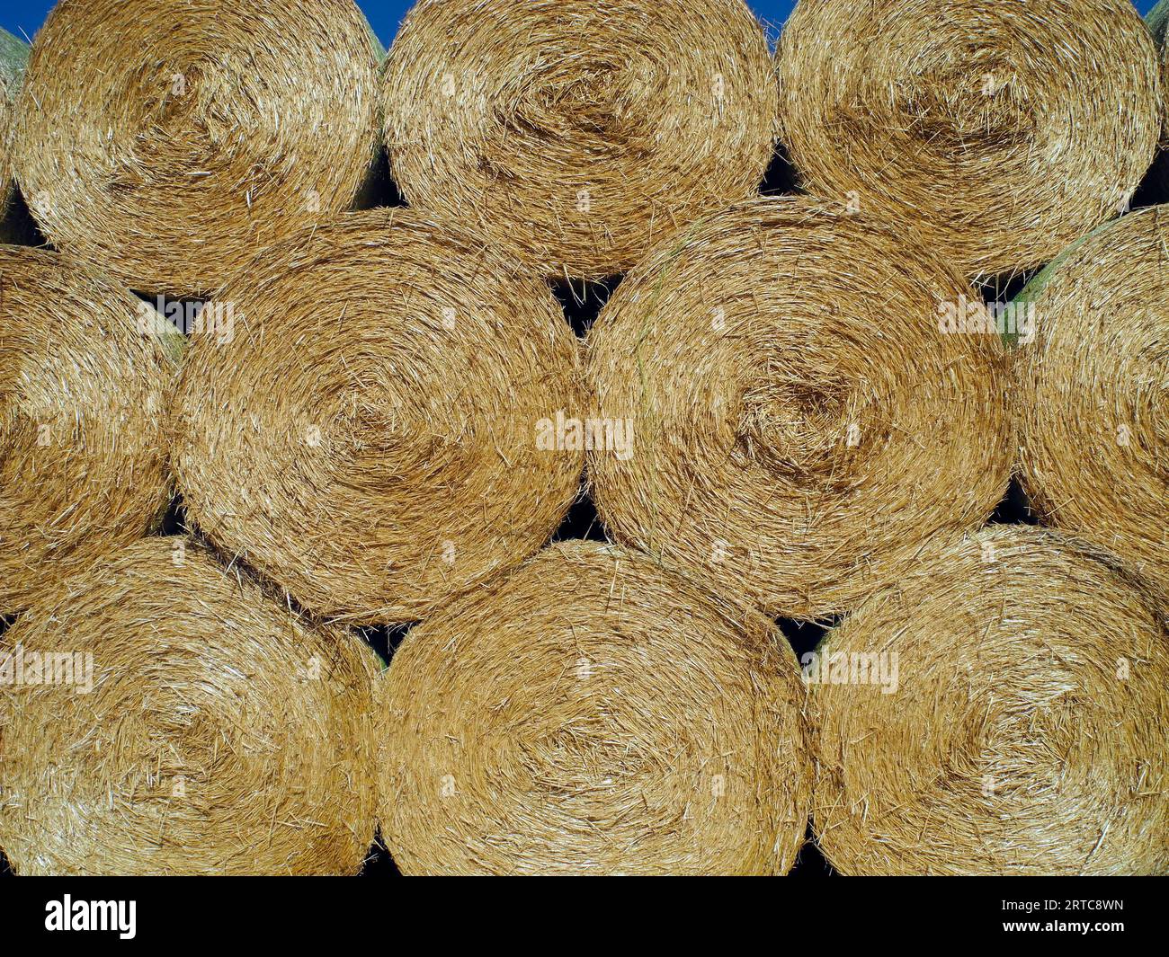 Austria, stacked straw bales used as bedding and fodder for cattle