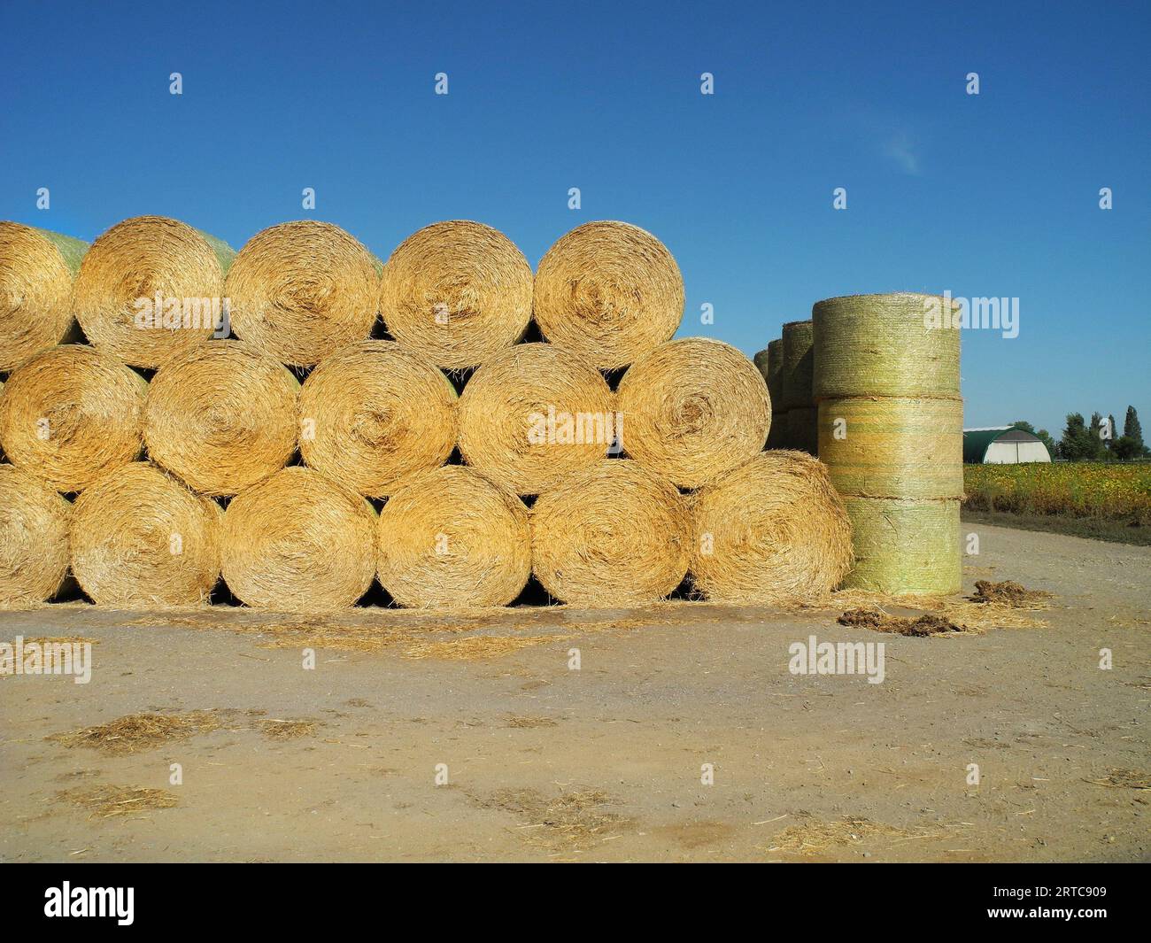 Austria, stacked straw bales used as bedding and fodder for cattle