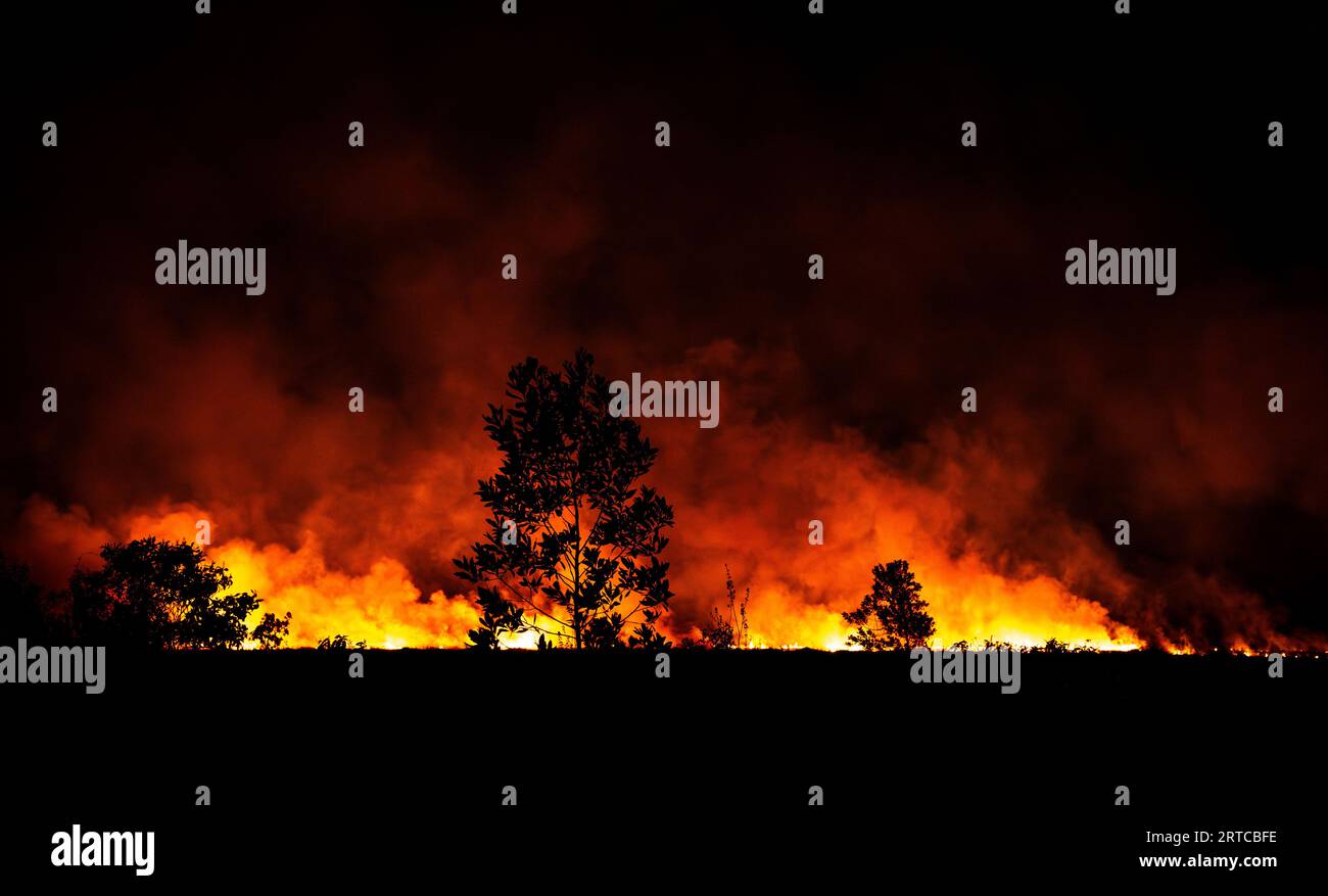'Bush Inferno', Burning fields at night, Farmers burning their fields to fertilize them, Primavera, Vichada, Colombia Stock Photo