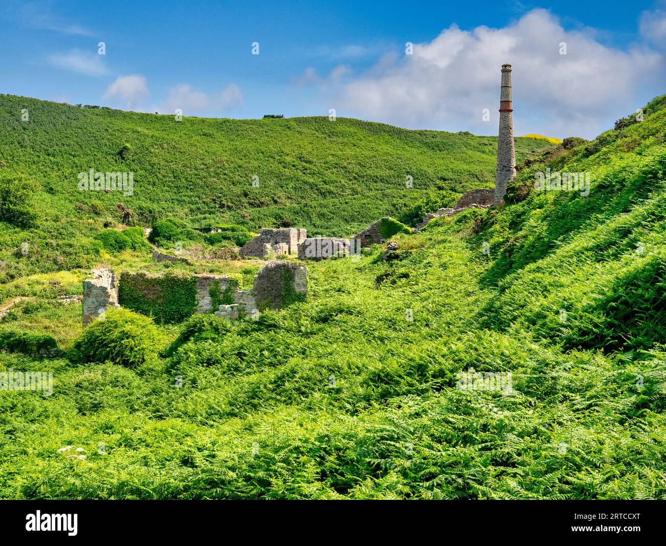 Kenidjack Valley and the remains of the Lower Boscean tin mine, now becoming overwhelmed by vegetation. Stock Photo