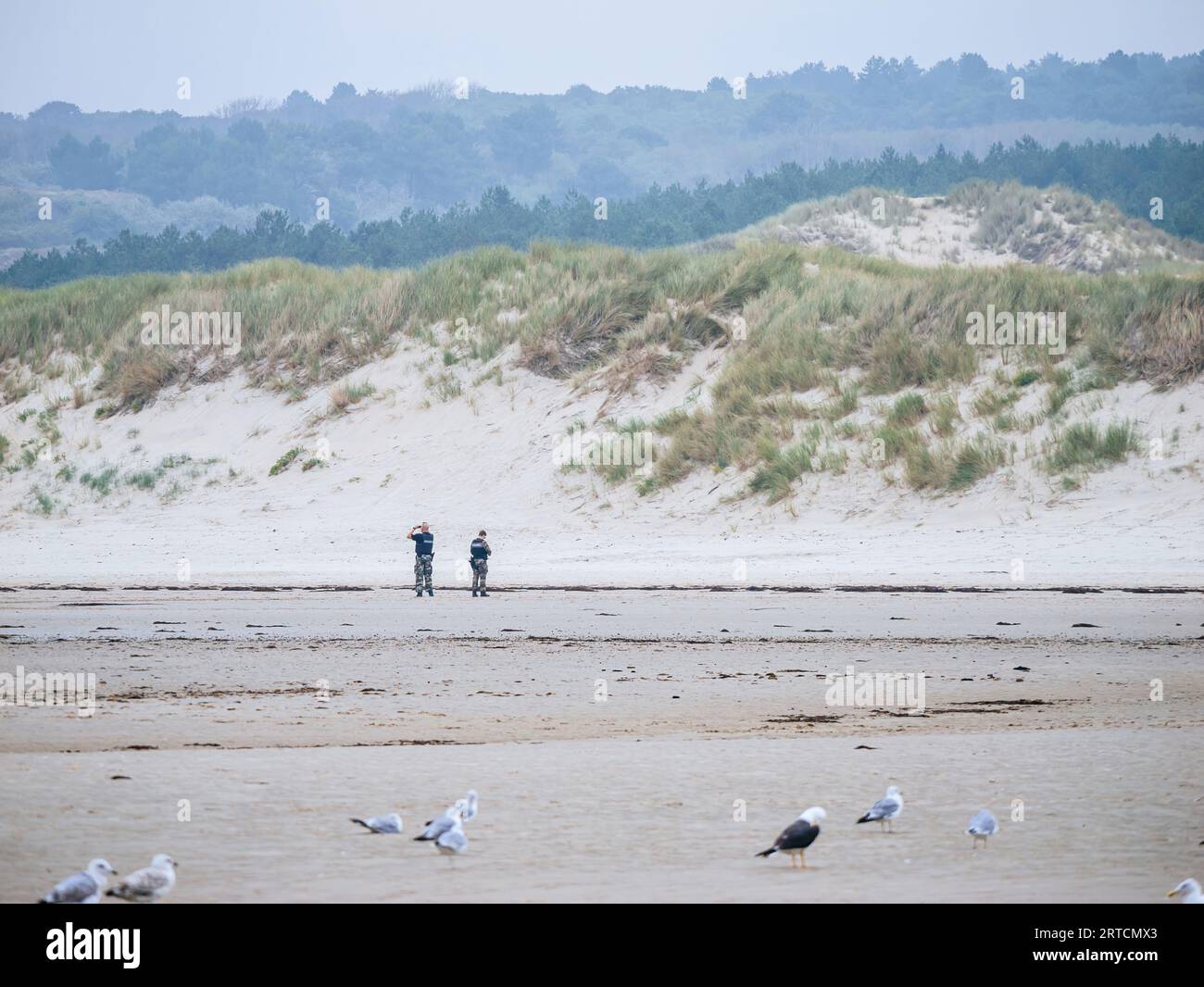Neufchatel-Hardelot, France - Aug 18, 2023: Amidst the dunes, seagulls soar overhead as two dedicated French police officers and gendarmes meticulously conduct surveillance and searches, aiming to apprehend illegal migrants bound for the UK Stock Photo