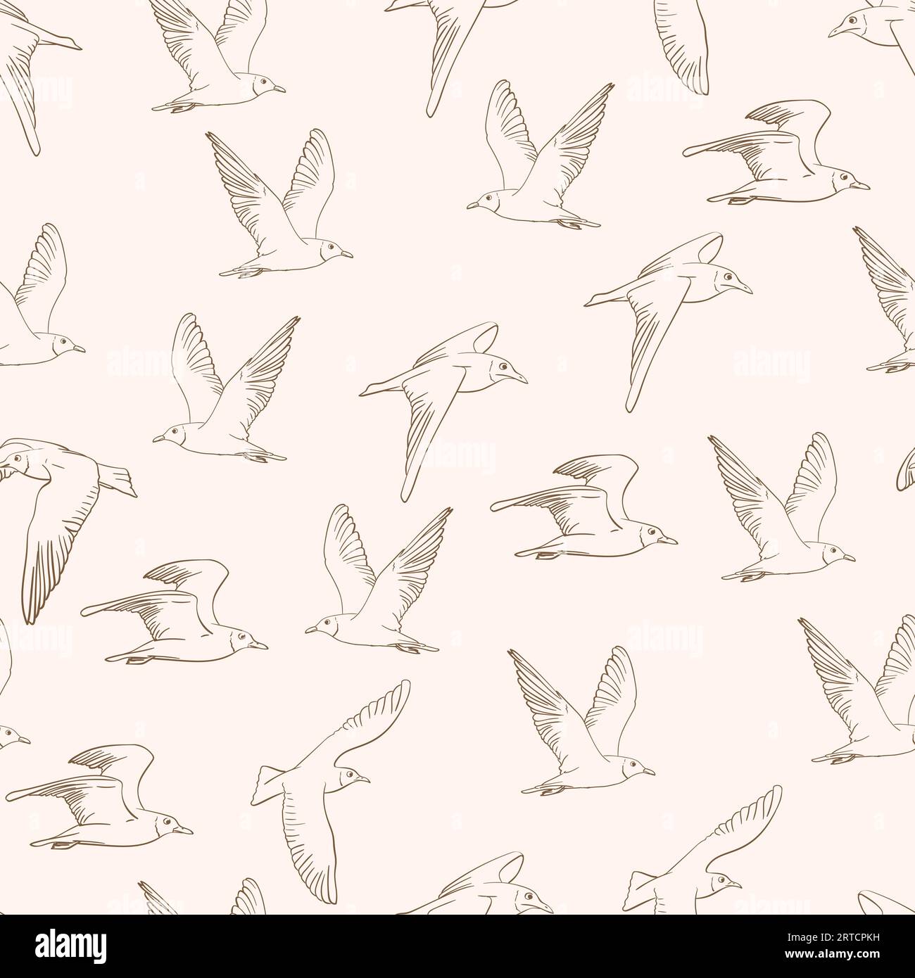 Vector seamless pattern with flying hand drawn seagulls Stock Vector ...
