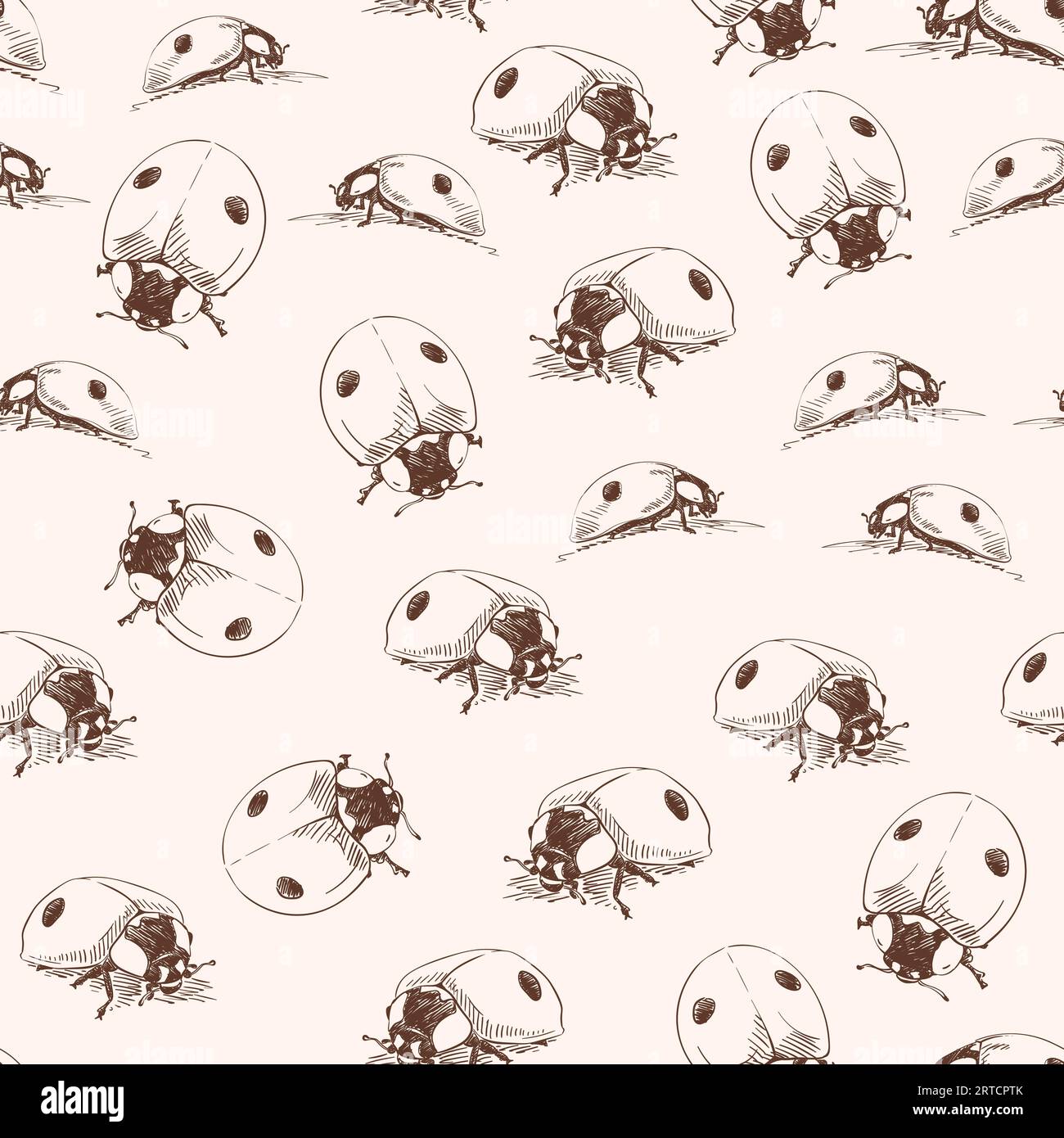 Seamless vector pattern with hand drawn realistic ladybugs, Insect theme monochrome Stock Vector