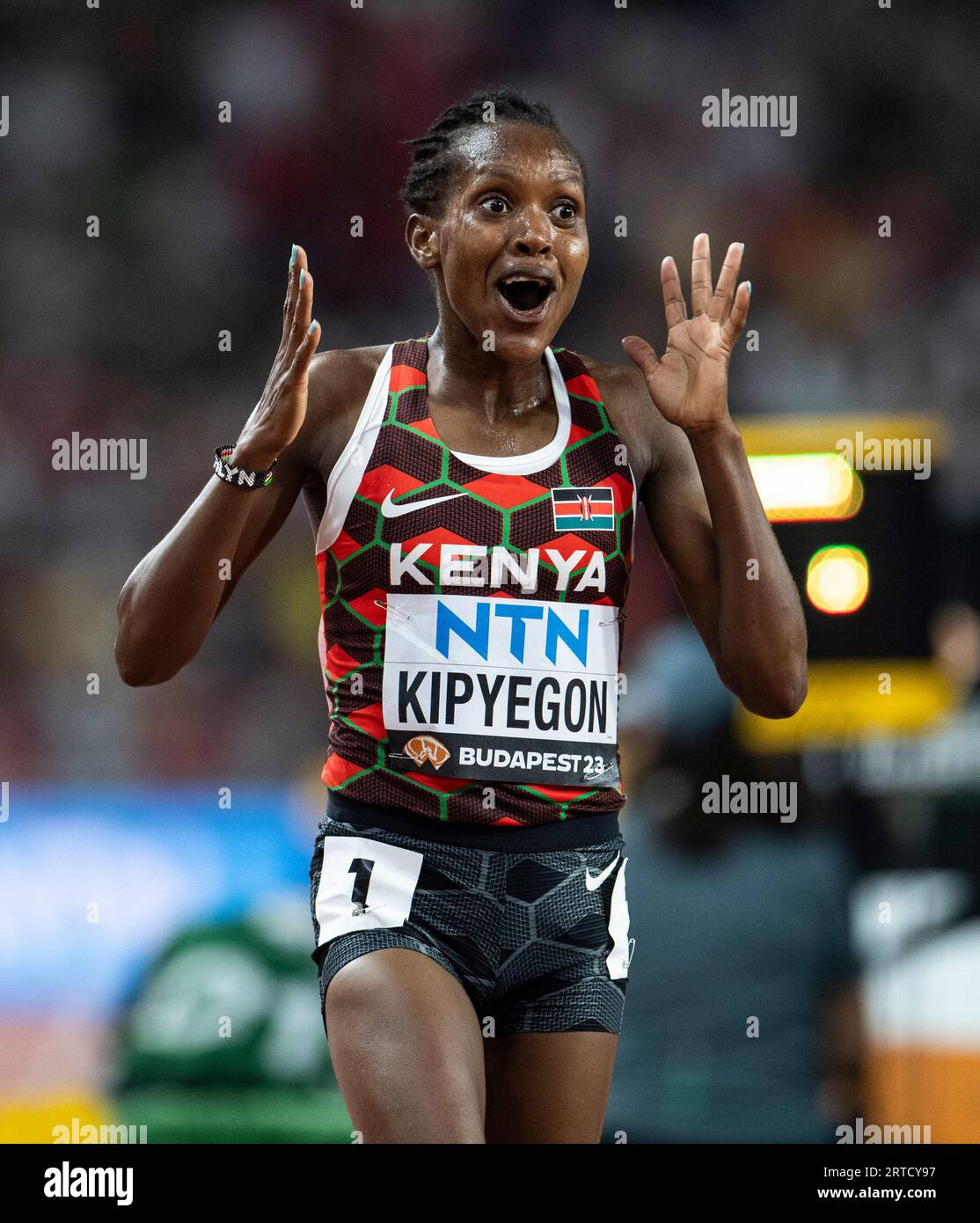 5000m race start line hi-res stock photography and images - Alamy