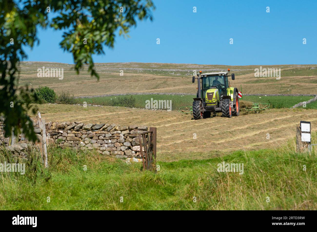 Tedding grass, Newby, Clapham, Lancaster, UK. Stock Photo