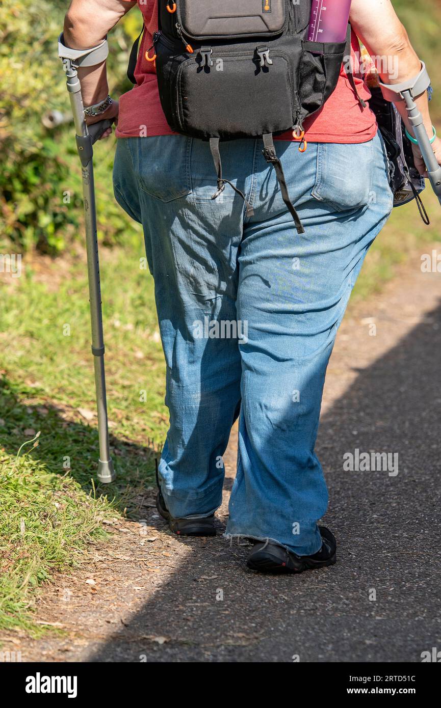 overweight person using walking stick to assist with walking. unhealthy obese person .morbidly obese and grossly overweight person using stick support Stock Photo