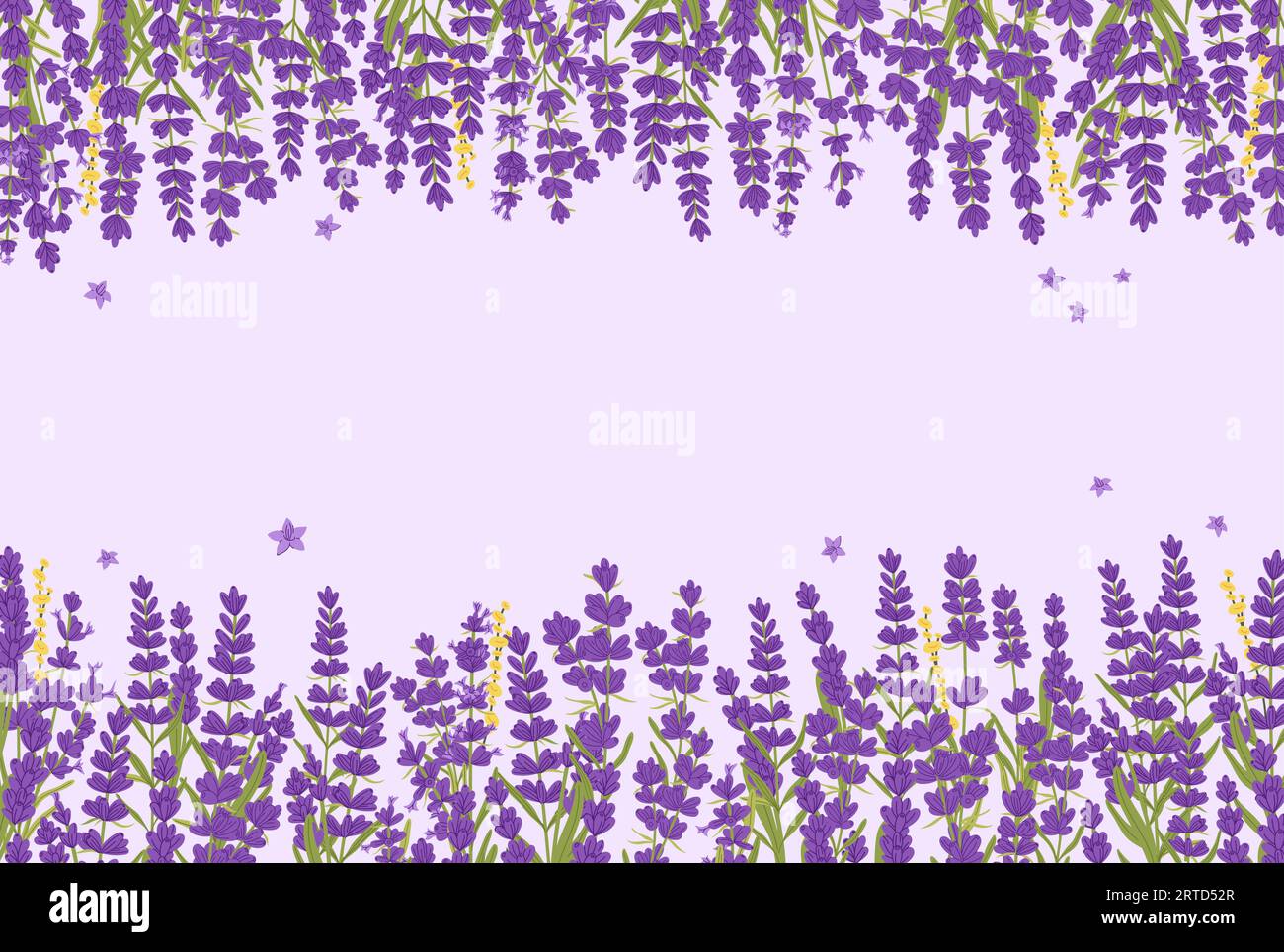 Lavender flowers background with vector floral borders of purple, violet and lilac provence lavandula blossoms. Bunches of garden plant and herb branc Stock Vector