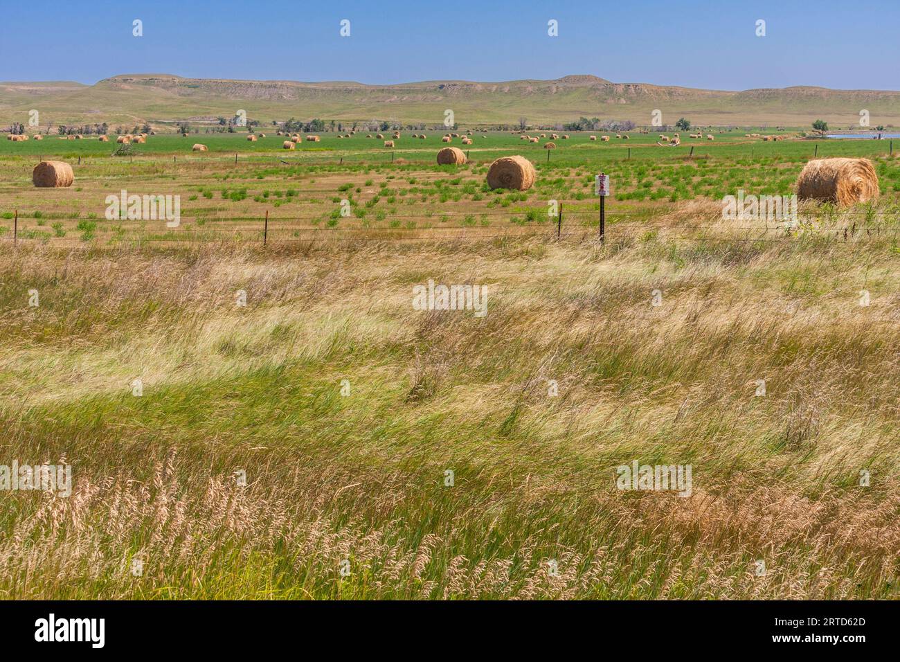 Hay Bales and grain farming in the plains and grasslands of South