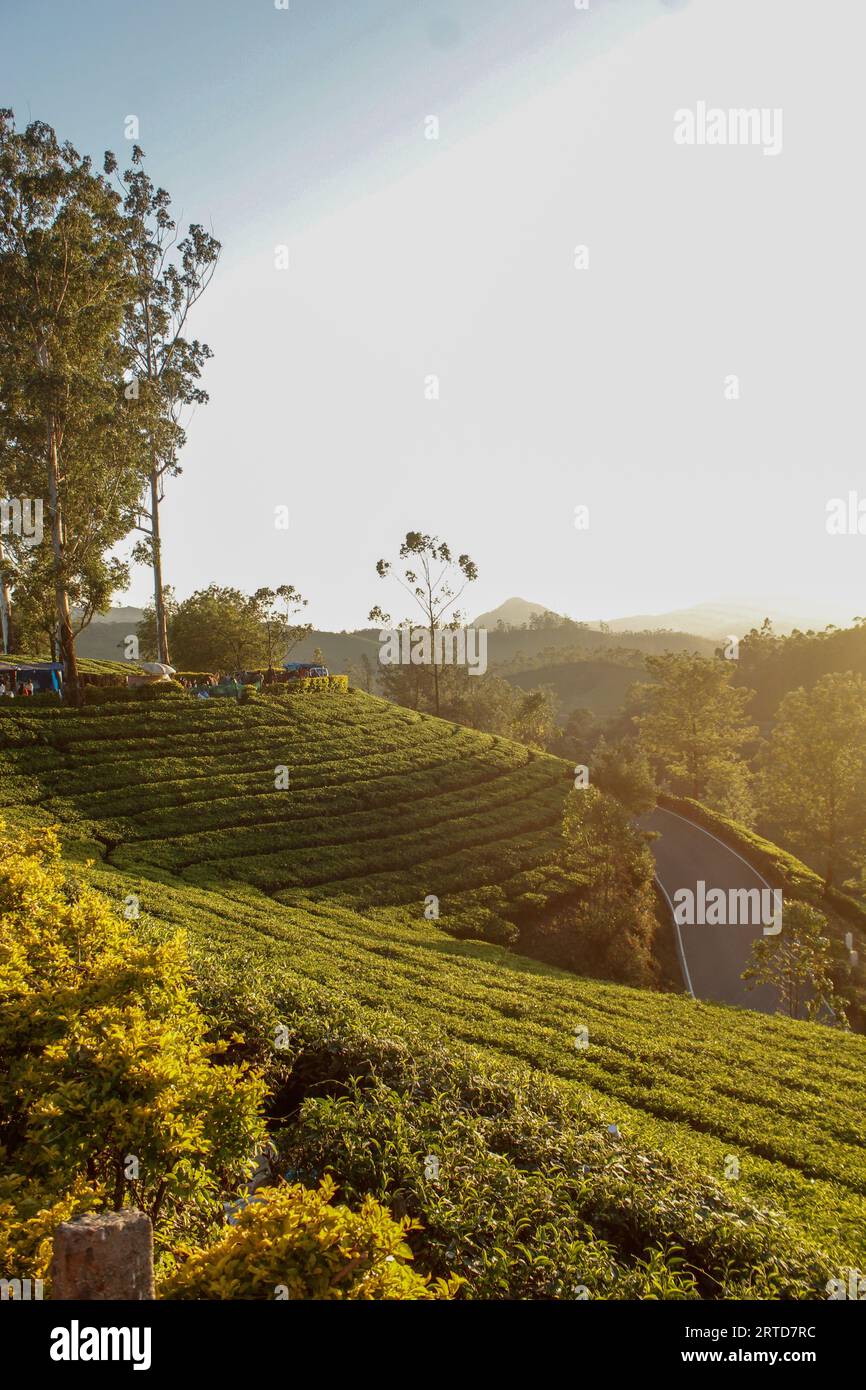 Munnar kerala sunrise hi-res stock photography and images - Alamy