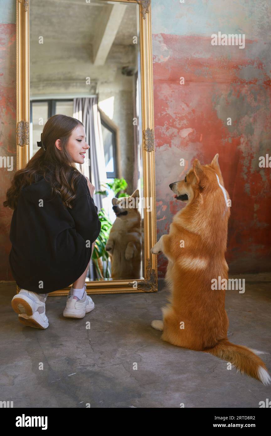 Rear view of a teenage girl sitting at the mirror and a dog. A