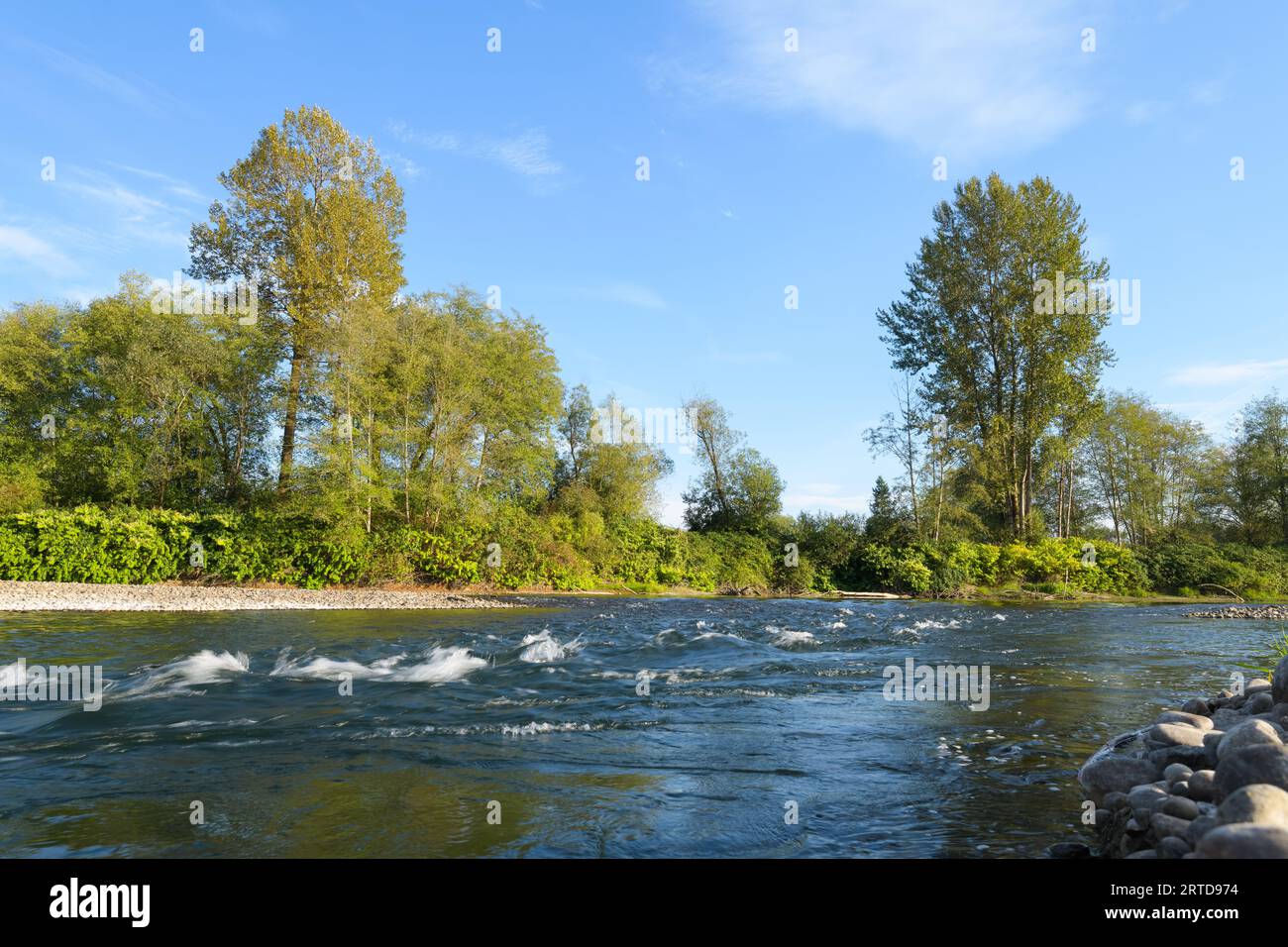 Snoqualmie River passing lush river bank with white crests on water in fall Stock Photo