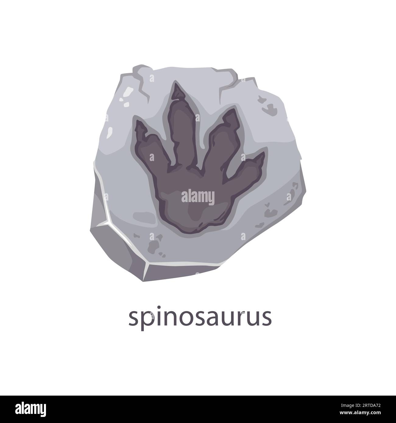 Spinosaurus dinosaur footprint fossil, archeology stone. Extinct ...