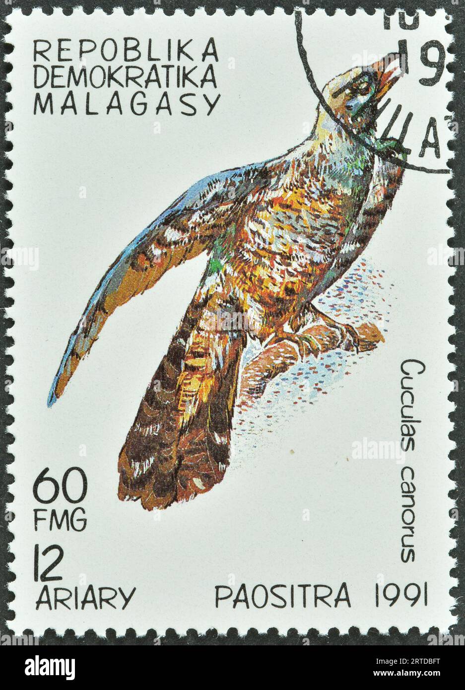 Cancelled postage stamp printed by Madagascar, that shows Common Cuckoo (Cuculus canorus), circa 1991. Stock Photo