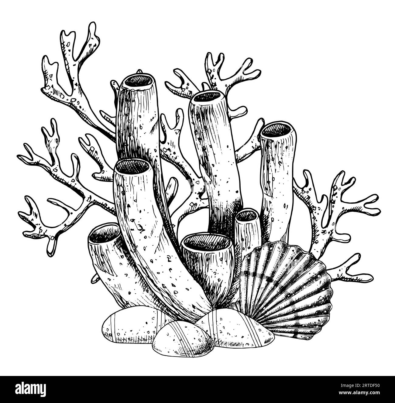 Coral Reefs with seashell and seabed. Vector hand drawn illustration of sea floor on isolated background. Underwater line art composition with seaweed and stones. Drawing painted by black inks. Stock Vector