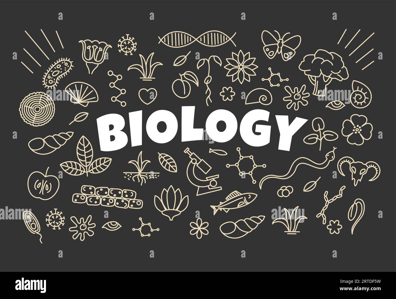 Biology background with signs and symbols on school board, vector science, education. Sketch chalk icons of DNA, plant molecule, chromosome and cell theory, microscope, leaf, flower and lab research Stock Vector