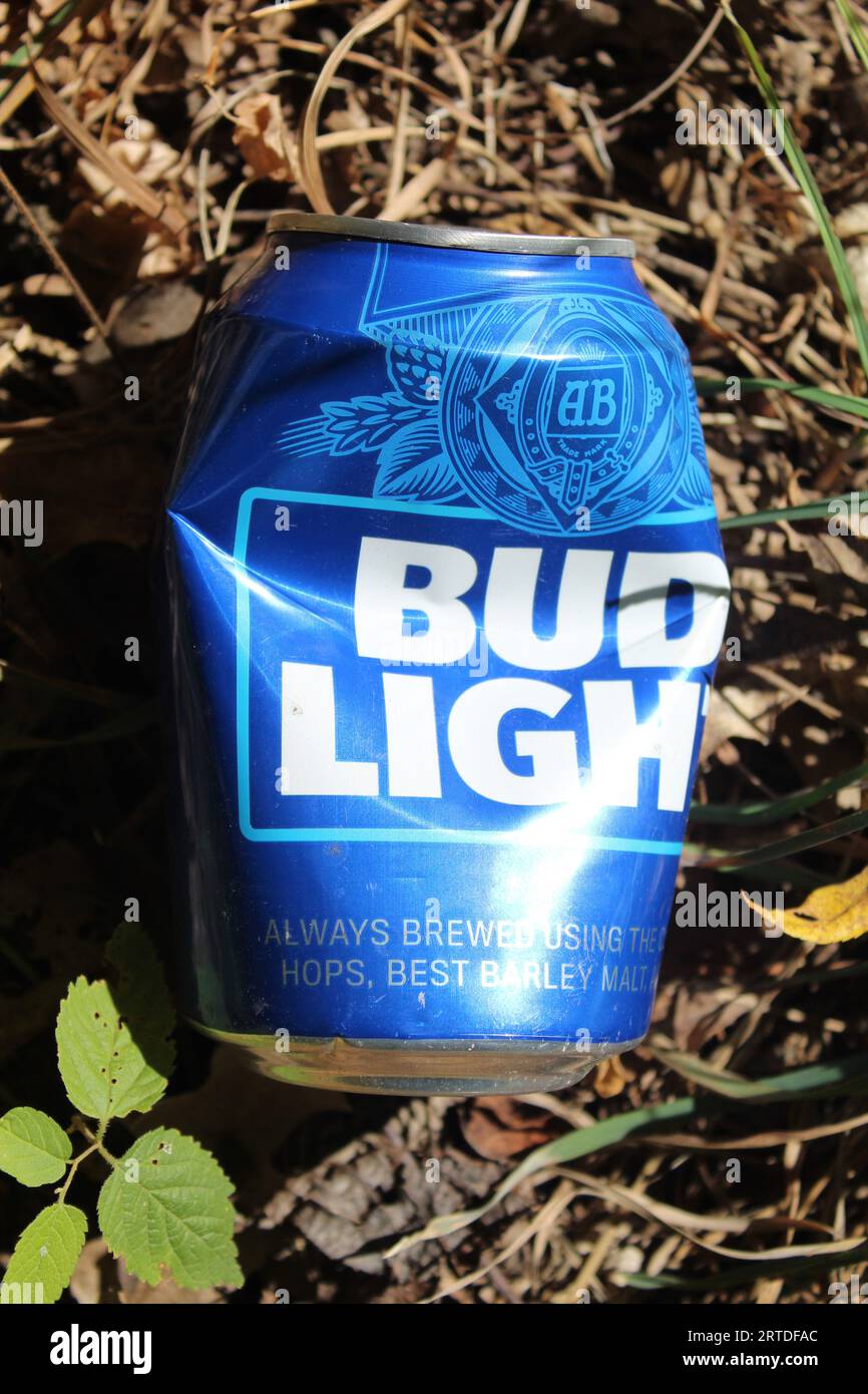 Dented Bud Light beer can in sun with green leaves near it at Iroquois Woods in Park Ridge, Illinois Stock Photo
