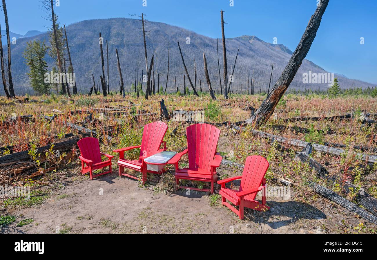 Red Chairs in a forest fire burn in Kootenay National Park, British Columbia, Canada Stock Photo
