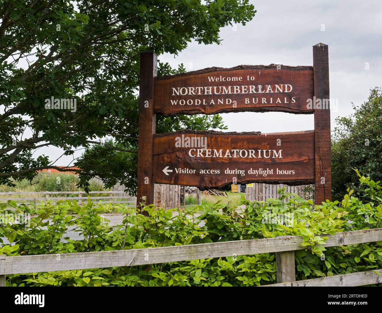 Woodland burial site in Northumberland, UK Stock Photo Alamy