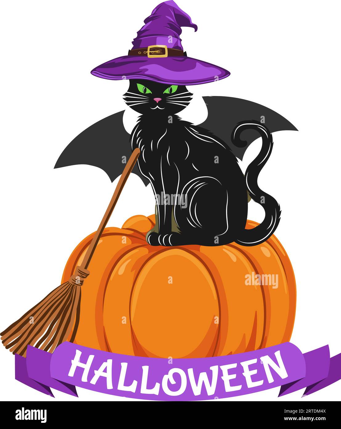 A black cat with a witch hat broom sitting on a pumpkin. Halloween