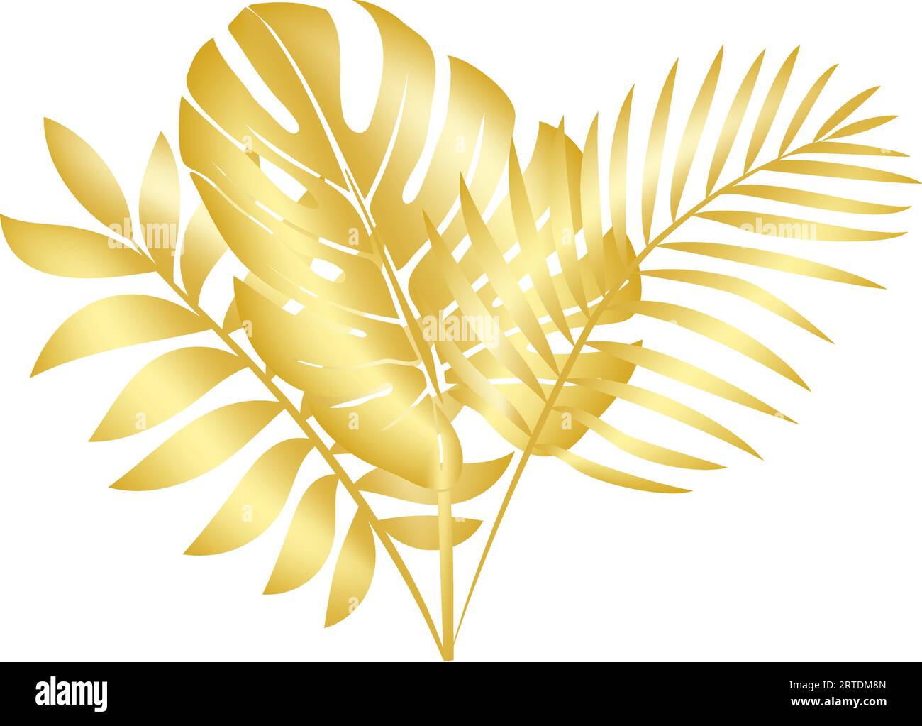 A decorative vector palm golden jungle foliage. Golden tropical palm ...