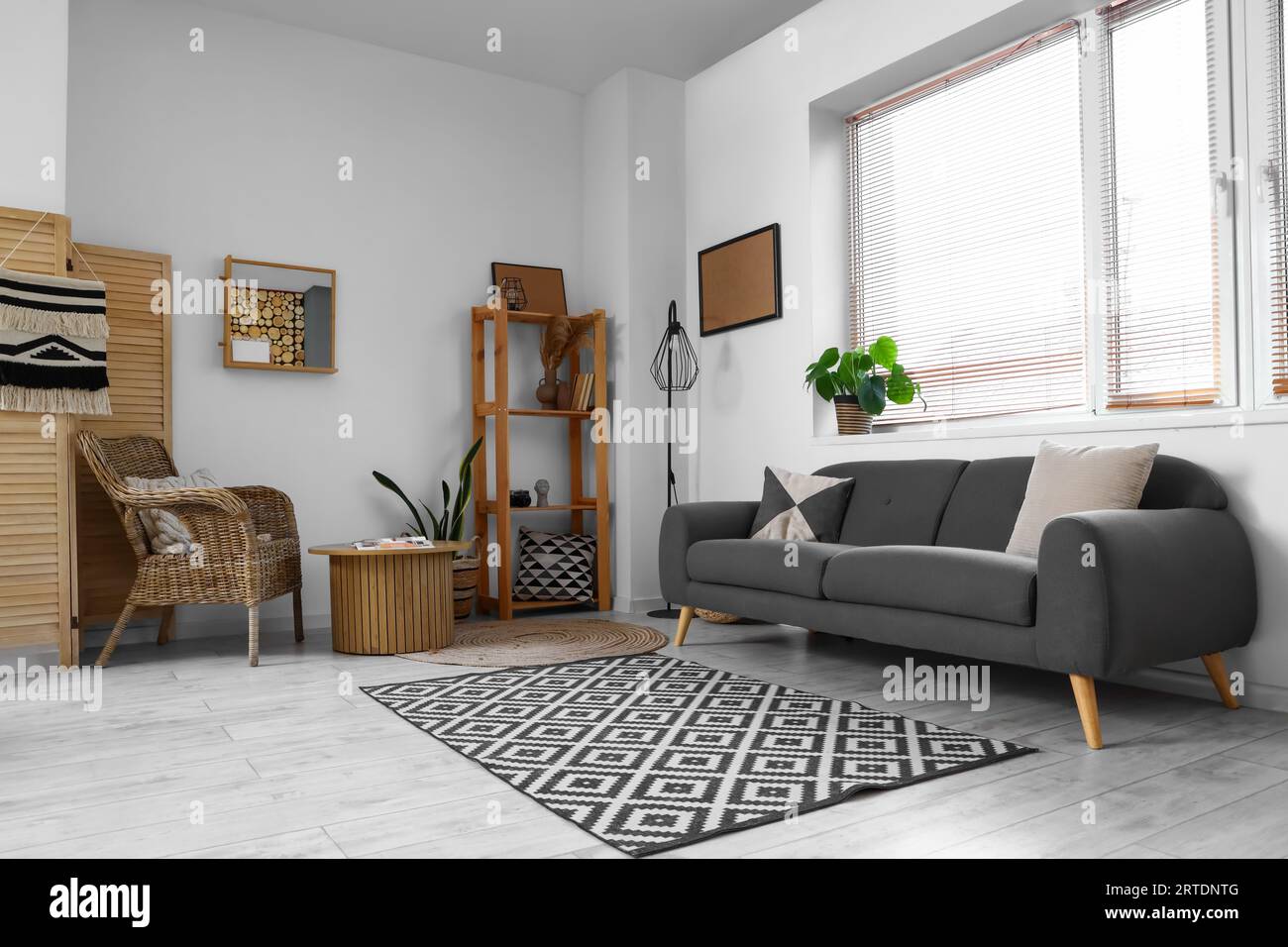 Modern interior of living room with grey sofa and wooden furniture ...