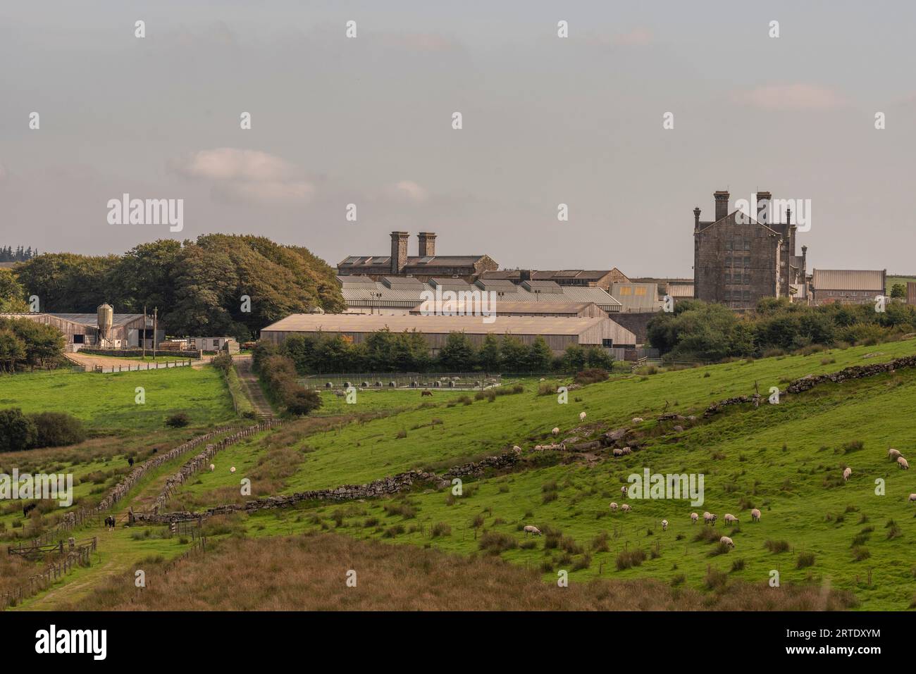 Princetown, Dartmoor, Devon, England, UK. 4th September 2023. Farm