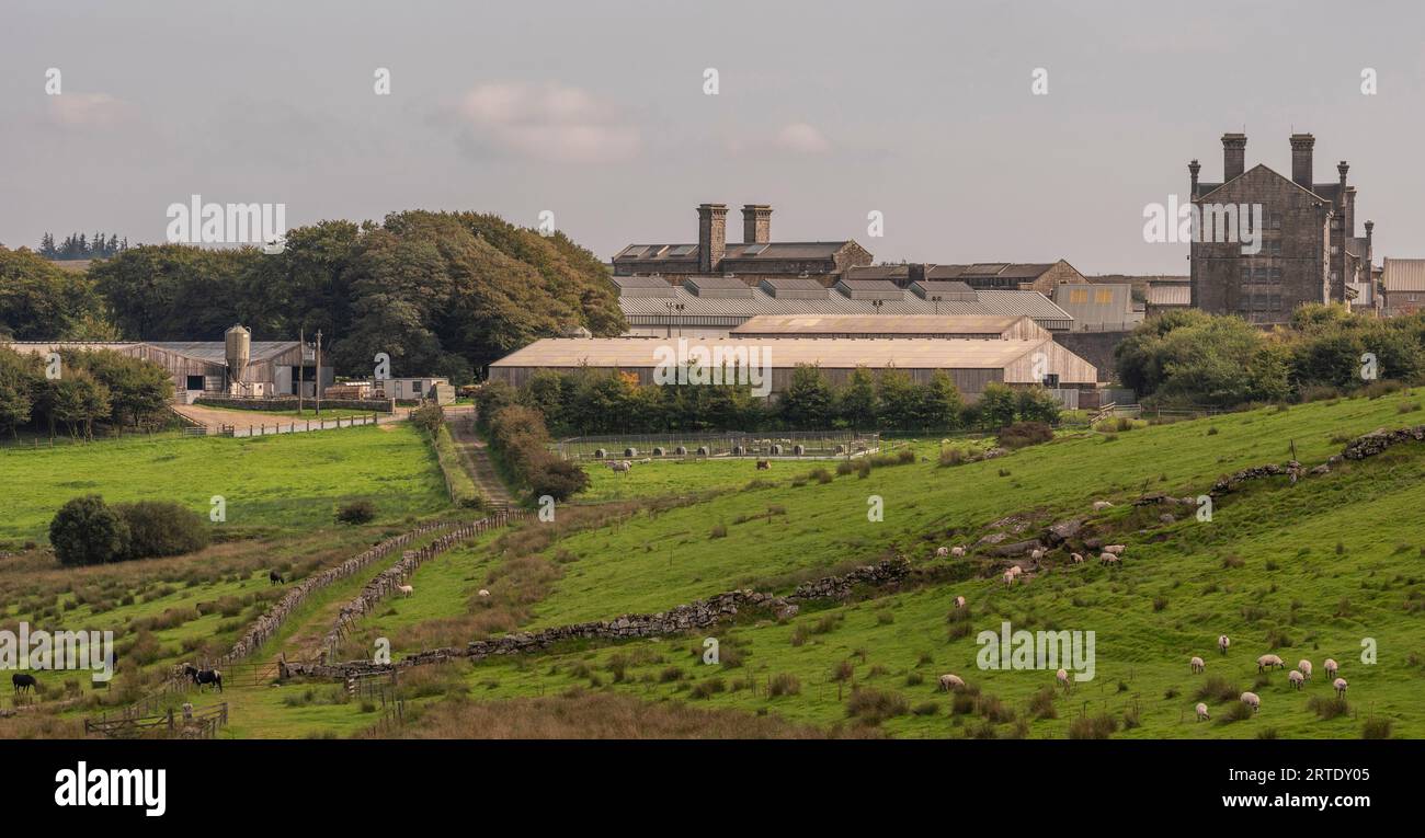 Princetown, Dartmoor, Devon, England, UK. 4th September 2023. Farm