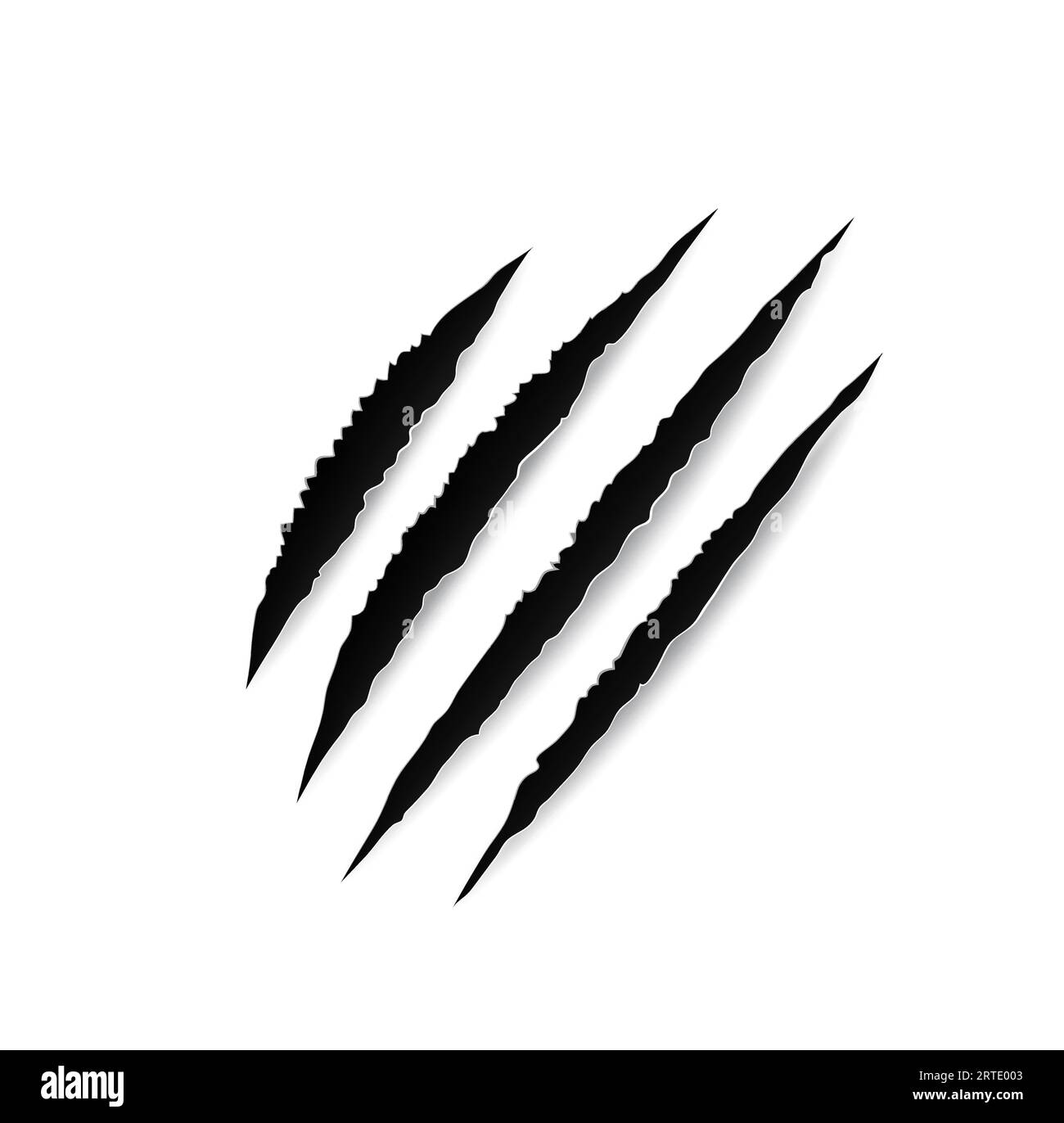 Animal claw marks, paw scratches, vector slash traces of tiger, bear