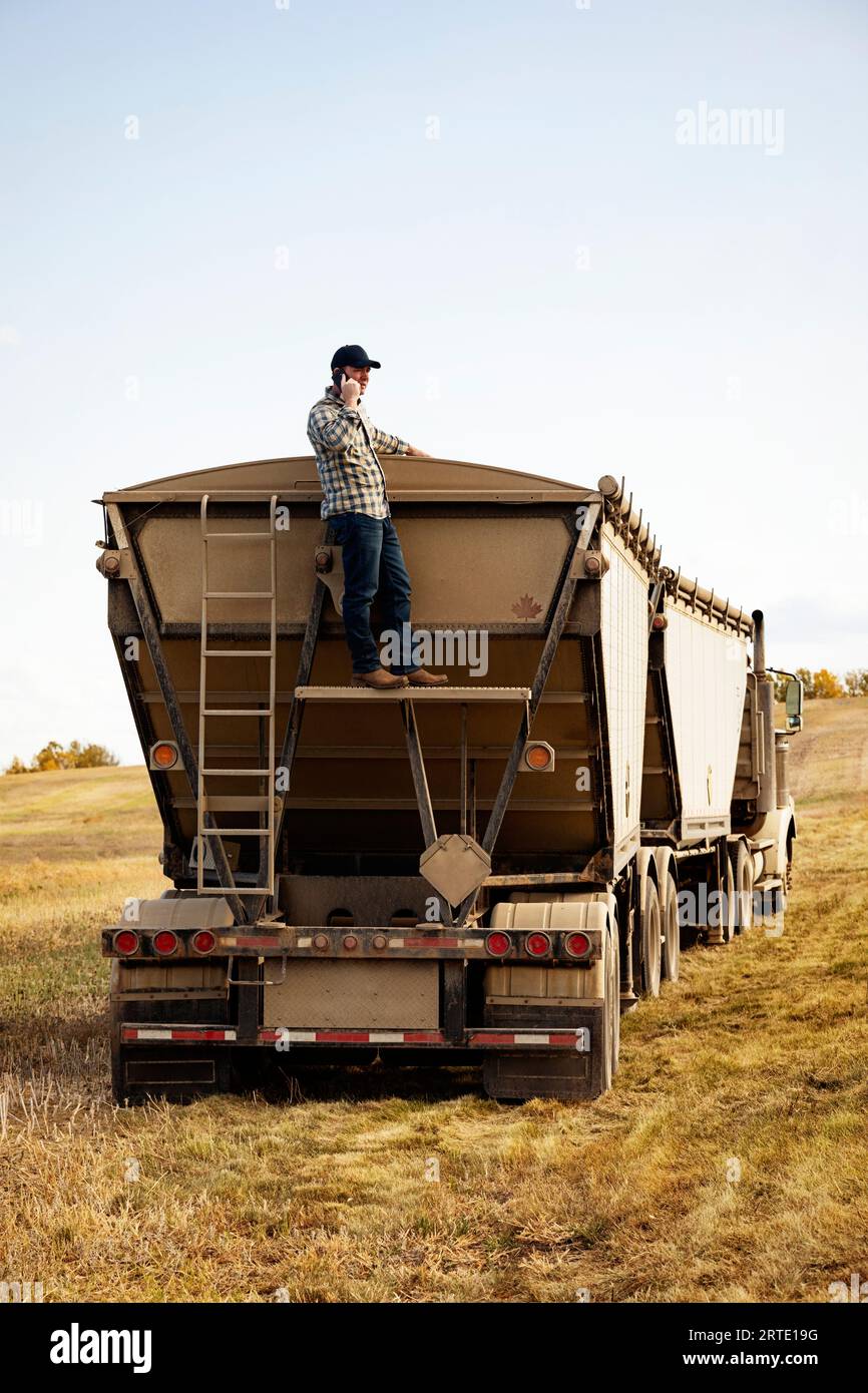 A man talking on a smart phone while monitoring and completing fall canola harvest and checking his load of canola in a grain hauler Stock Photo