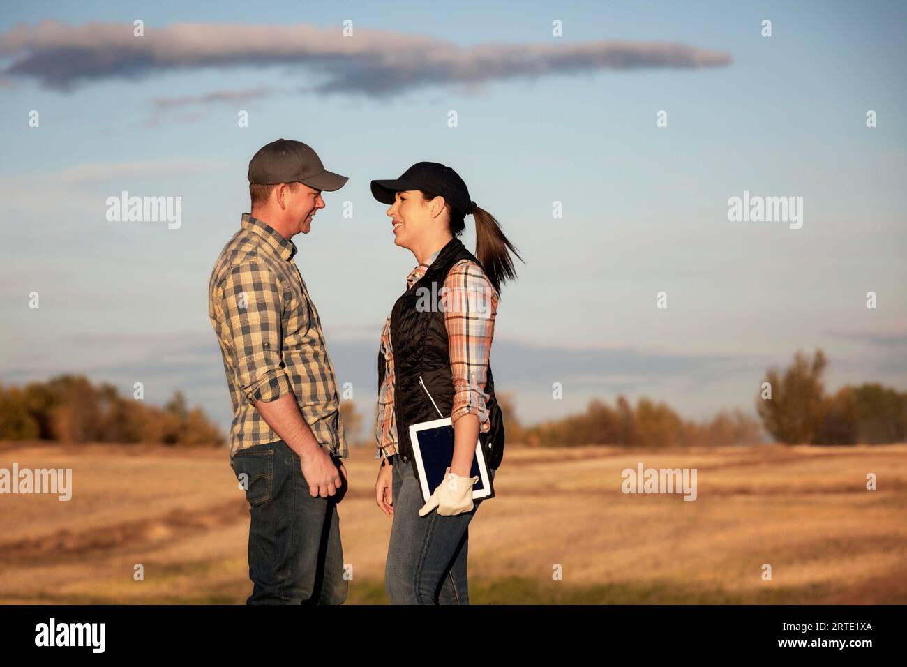 A farm couple using portable technologies, standing in a field face to face during their fall, Canola harvest; Alcomdale, Alberta, Canada Stock Photo