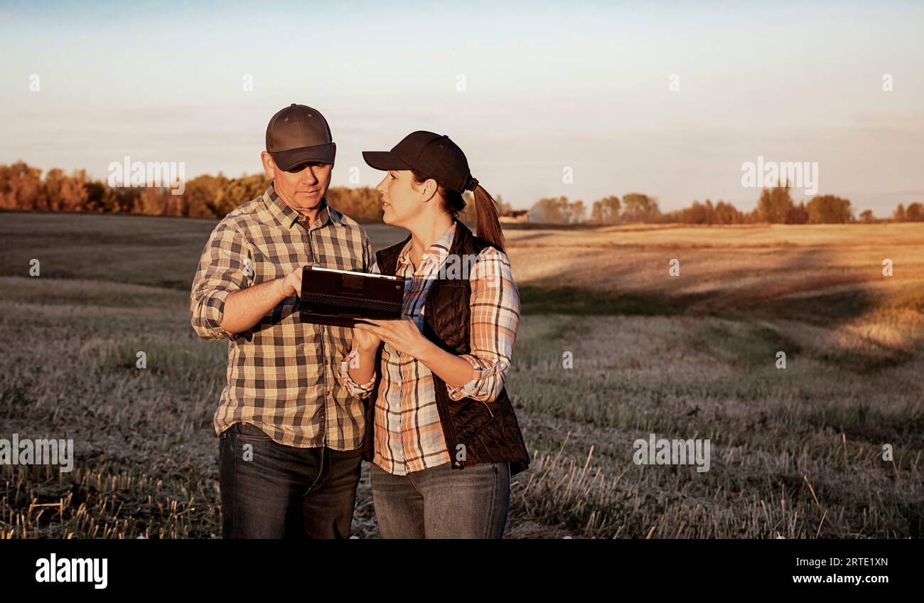 A husband and wife standing in the fields at twilight using a portable wireless device to manage and monitor the yield during their fall, canola ha... Stock Photo