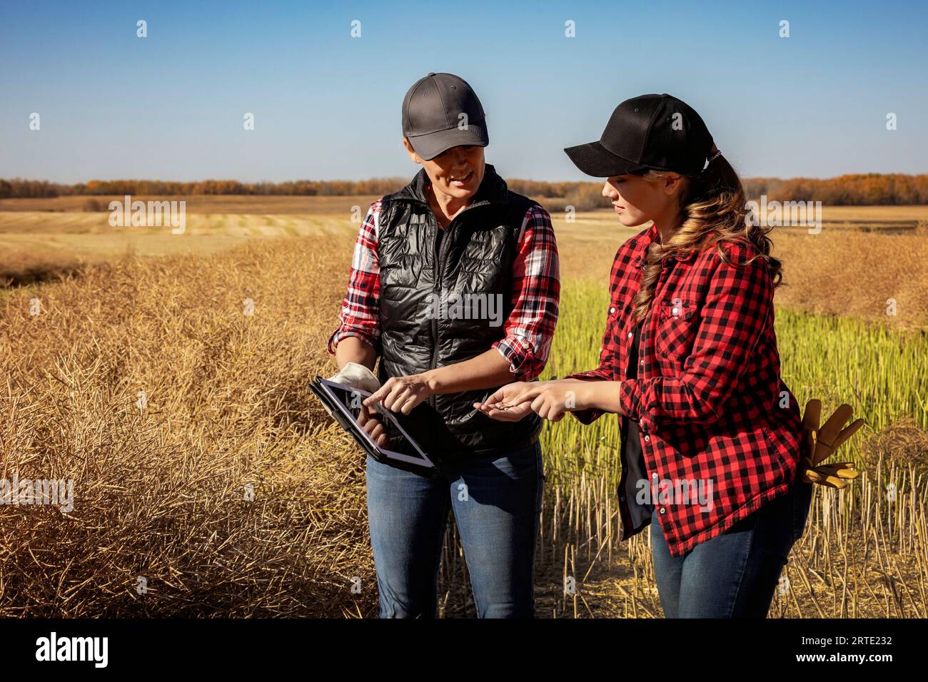 A woman farmer standing in the fields teaching her apprentice about modern farming techniques for canola crops using wireless technologies and agri... Stock Photo