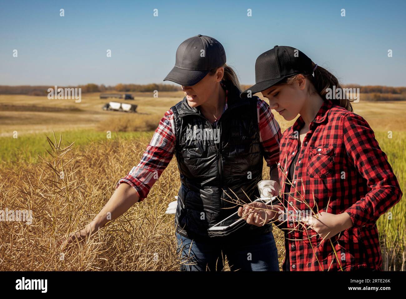 A woman farmer standing in the fields teaching her apprentice about modern farming techniques for canola crops using wireless technologies and agri... Stock Photo