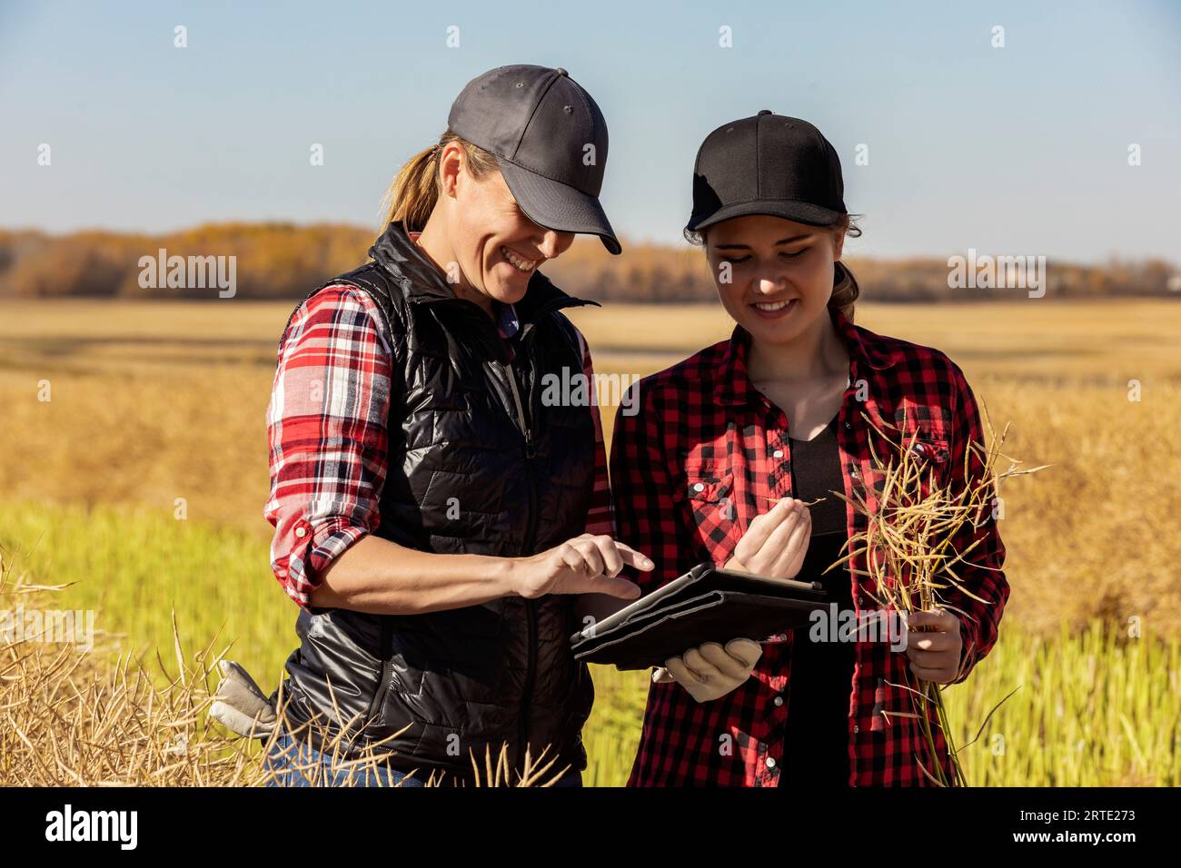 A woman farmer standing in the fields teaching her apprentice about modern farming techniques for canola crops using wireless technologies and agri... Stock Photo