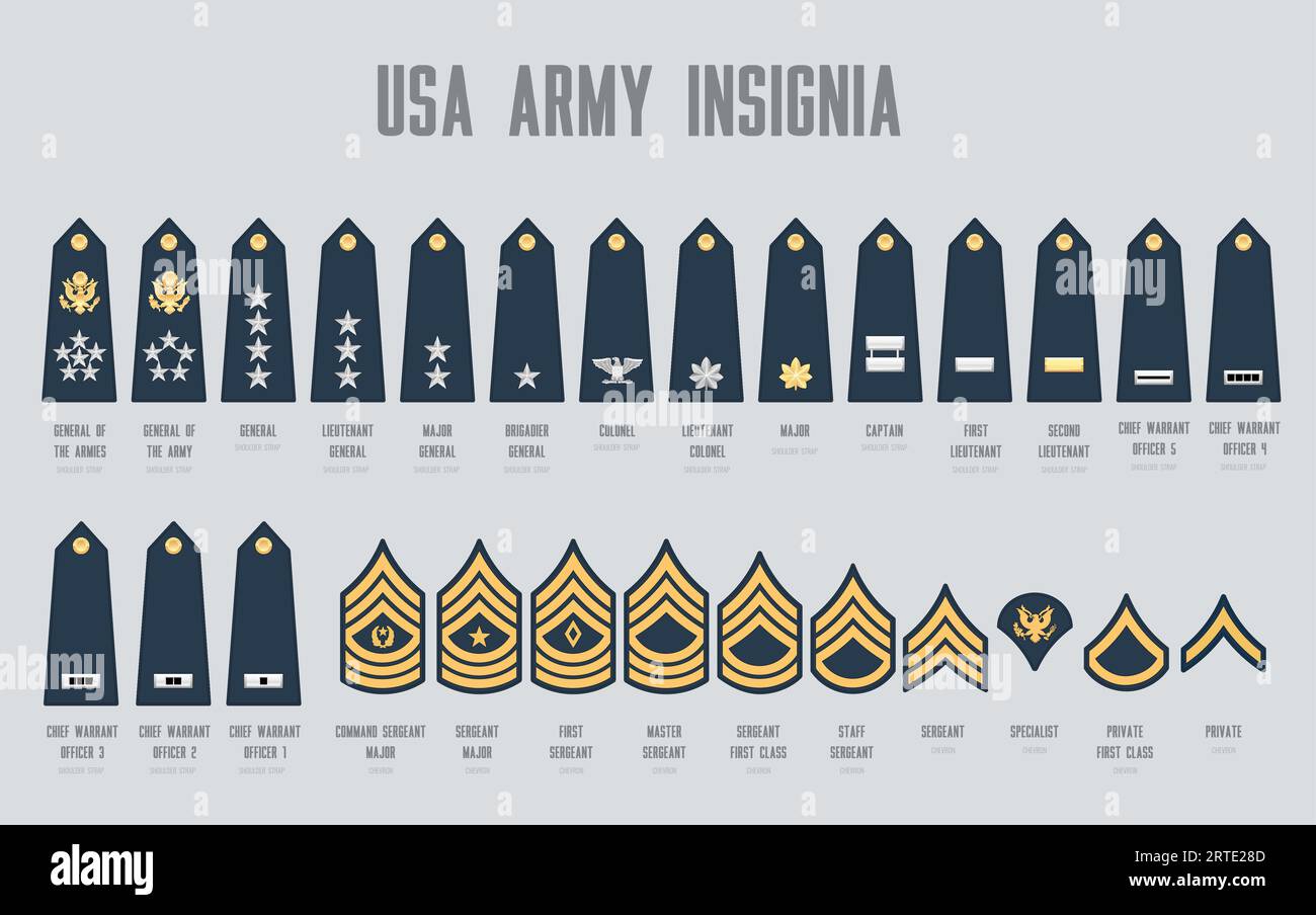 USA army insignia, us army military chevrons for general, lieutenant, major and brigadier. Colonel, captain, chief warrant officer and command or master sergeant, staff, specialist and private ranks Stock Vector