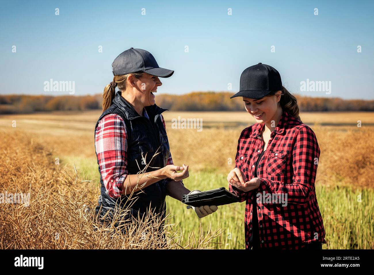 A woman farmer standing in the fields enjoying teaching her apprentice about modern farming techniques for canola crops using wireless technologies... Stock Photo
