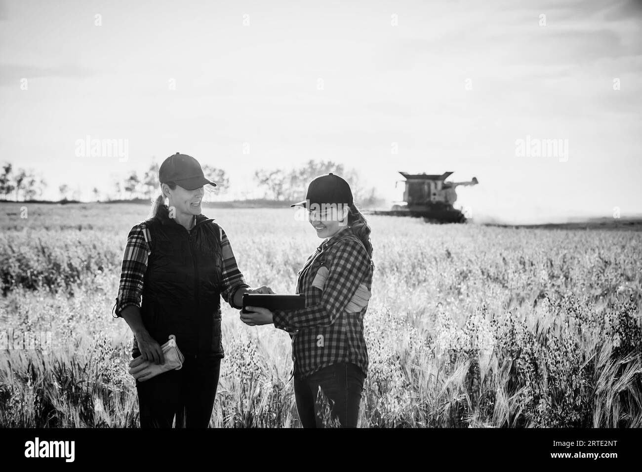 A mature farm woman standing in a field working together with a young woman at harvest time, using advanced agricultural software on a pad, with a ... Stock Photo
