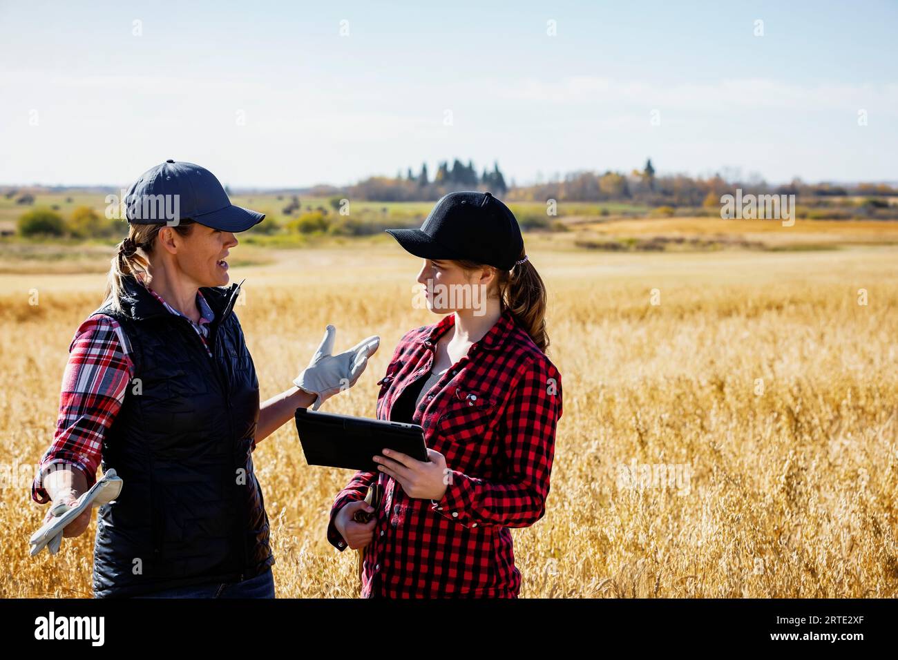A mature farm woman standing in a field working together with a young woman at harvest time, using advanced agricultural software technology on a pad Stock Photo