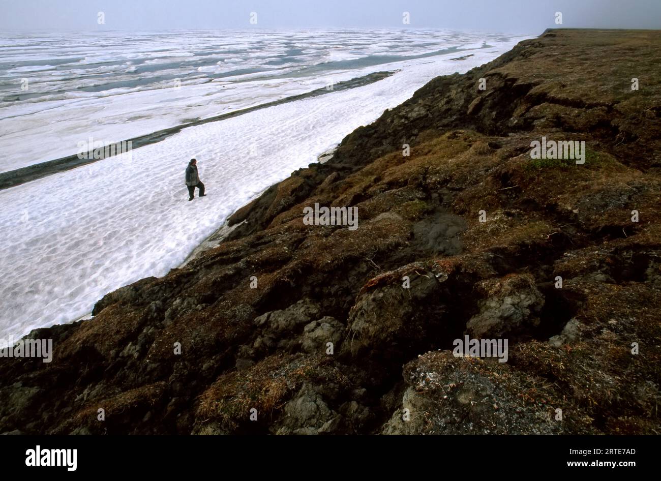 Man walks over melting ice on the rugged tundra; North Slope, Alaska, United States of America Stock Photo