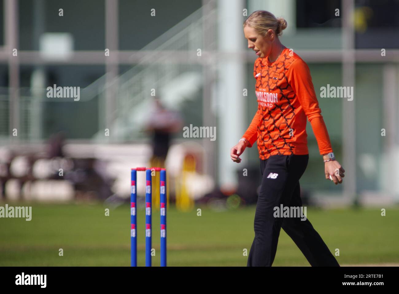 Roseworth terrace hires stock photography and images Alamy