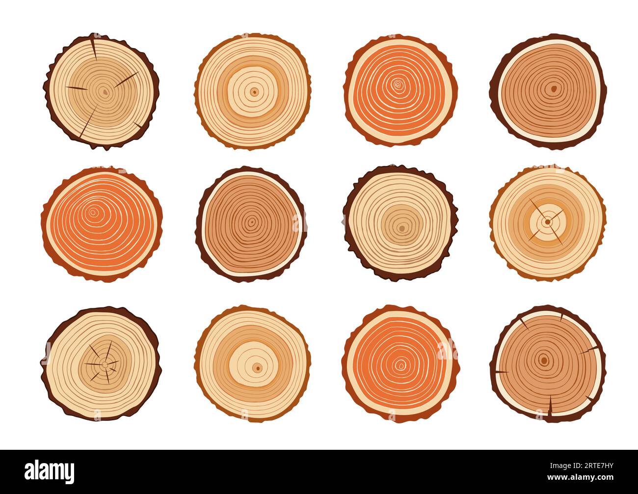 Tree trunks, wood cut with vector texture of annual rings. Cross section slices of wooden stump