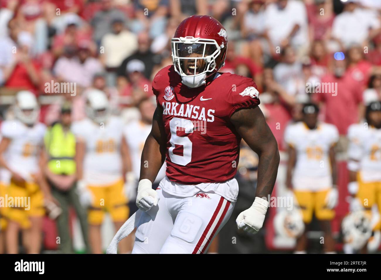 Arkansas defensive lineman John Morgan III (6) reacts after making a big  play against Kent State during an NCAA football game on Saturday, Sept.9,  2023, in Fayetteville, Ark. (AP Photo/Michael Woods Stock