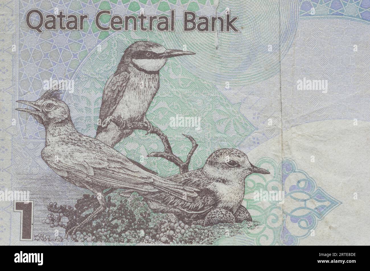 Qatar Currency Studio Stock Photo Alamy