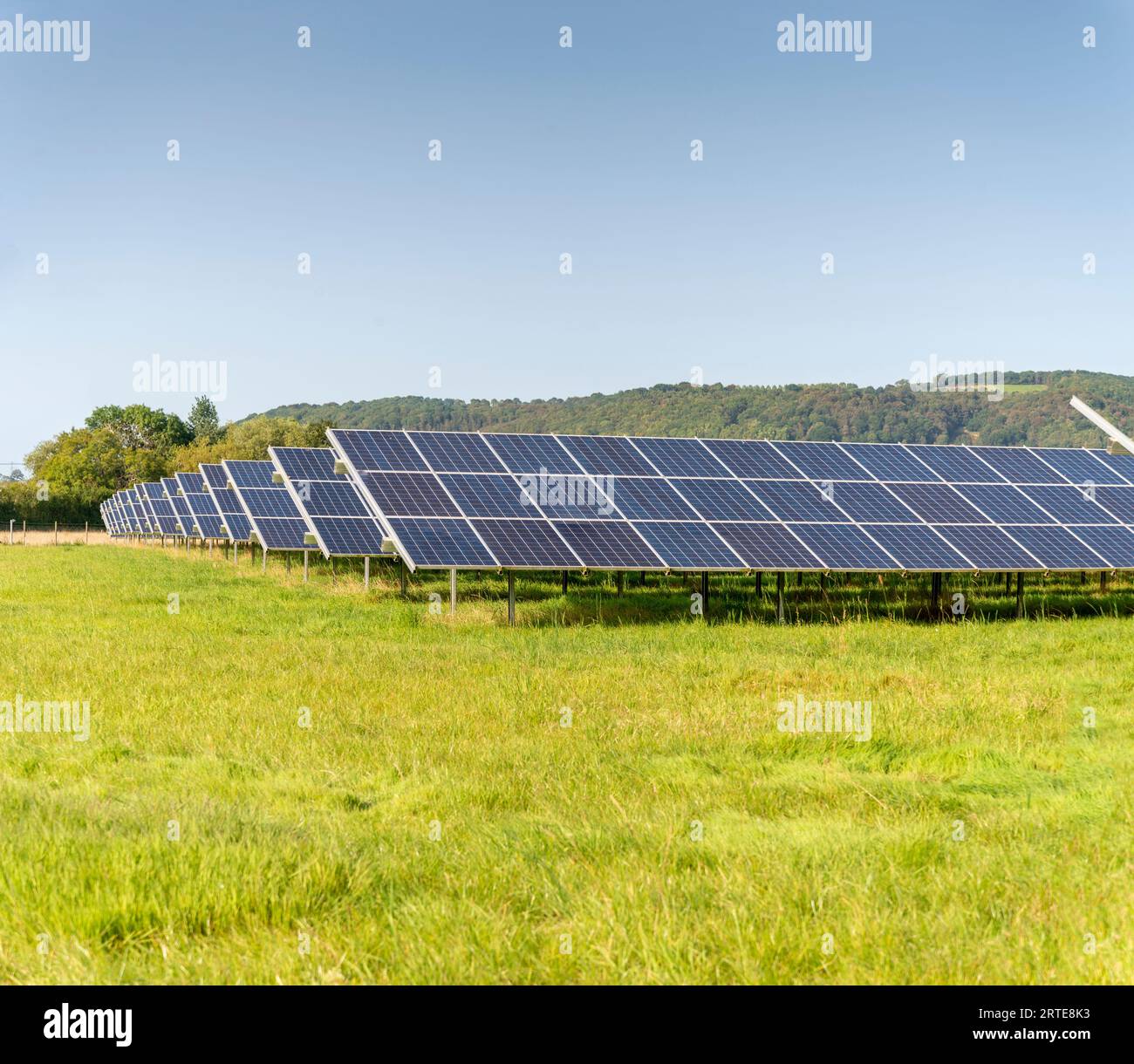 Solar energy production,at a site in the countryside, during the summertime in rural England,providing clean sustainable energy to local areas and vil Stock Photo